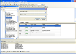 Software localization tool